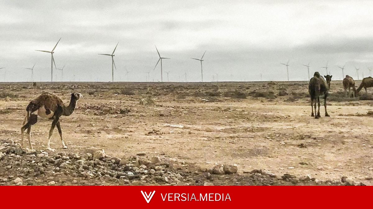 Marruecos vende el Sáhara Occidental para su explotación a empresas europeas