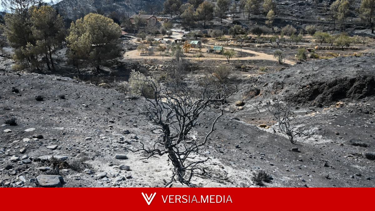 El incendio de Los Gallardos evoluciona de forma favorable y se acerca a su estabilización