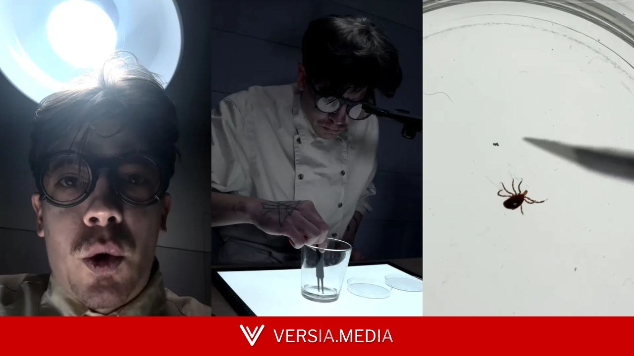 Un 'youtuber' pone a prueba la capacidad de supervivencia de una garrapata adherida a su cuerpo con un viral experimento